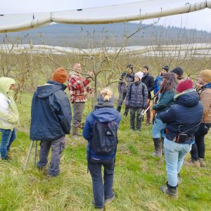 Bio Bourgogne-Franche-Comté - Se faire accompagner en arboriculture biologique