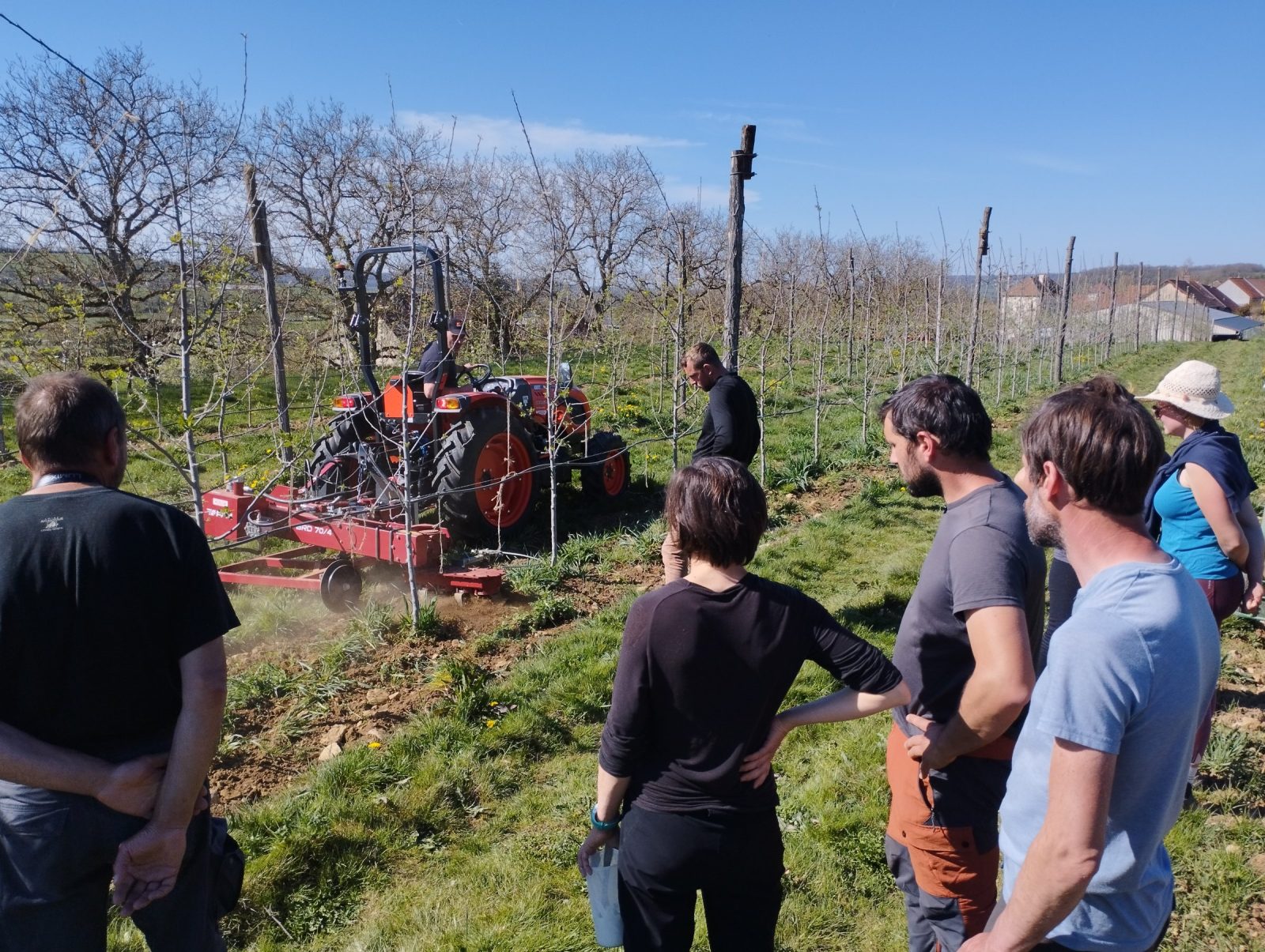 Bio Bourgogne-Franche-Comté - Se faire accompagner en arboriculture biologique