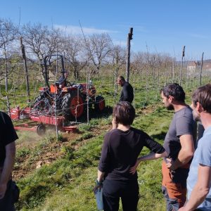 Bio Bourgogne-Franche-Comté - Se faire accompagner en arboriculture biologique