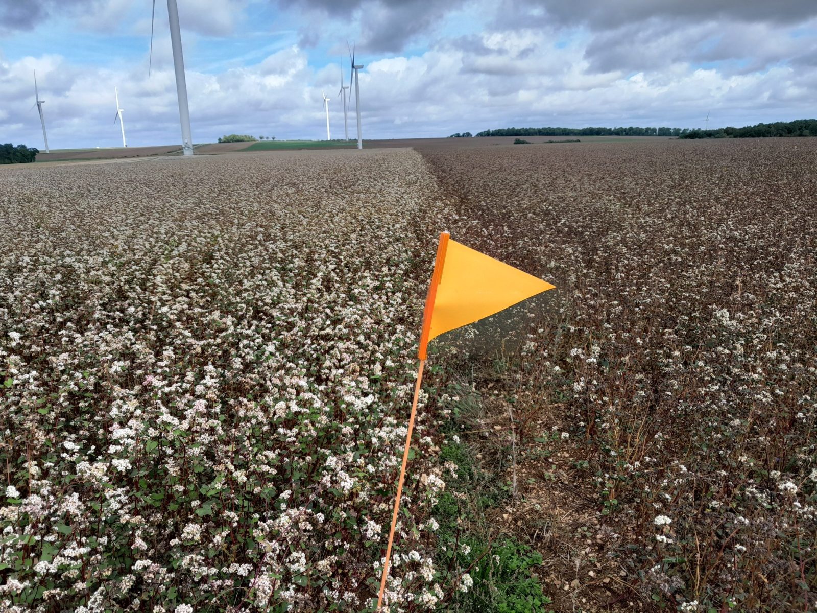 Formation à l'agriculture biologique
