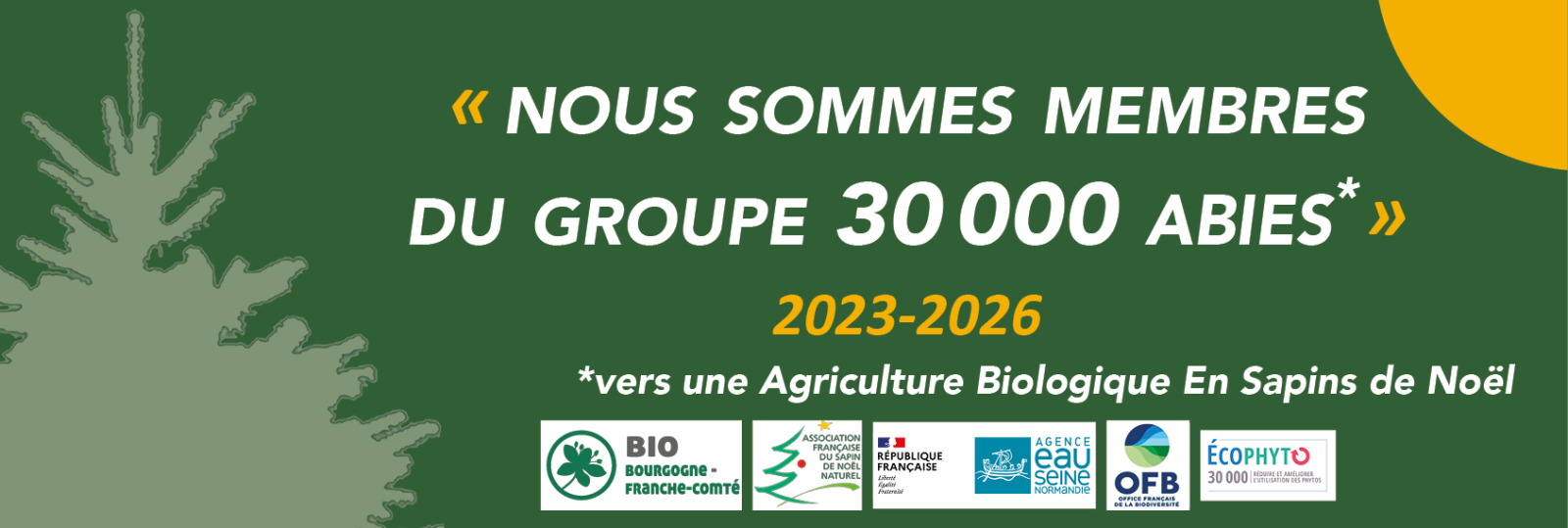 Groupe de producteurs de sapins de Noël vers la conversion AB