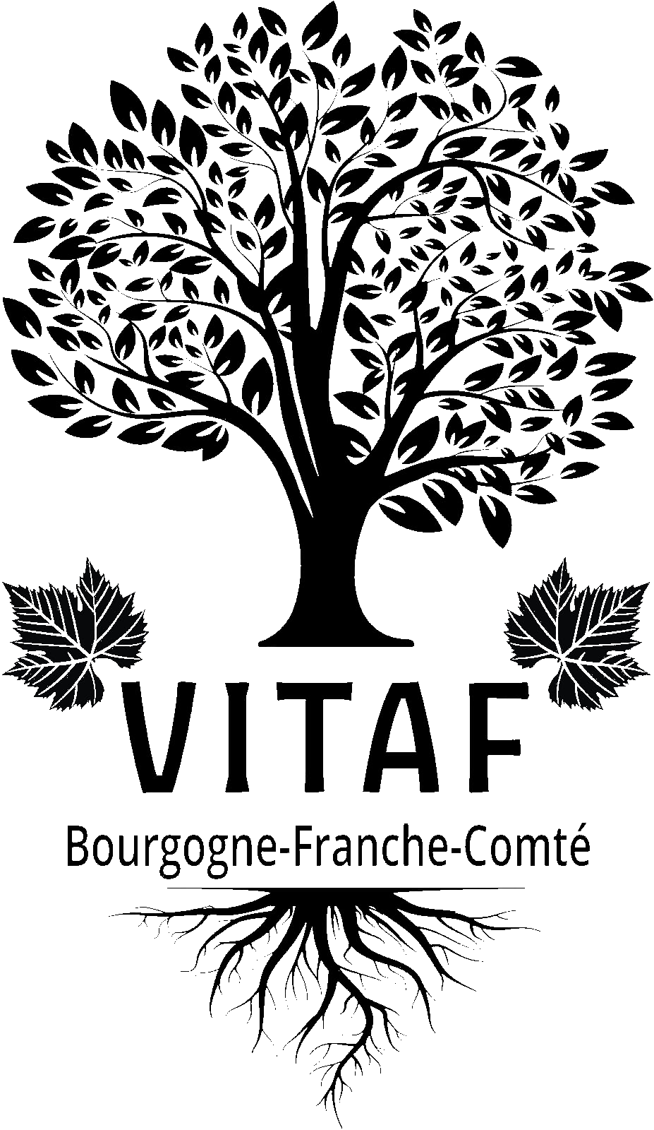 Logo VITAF