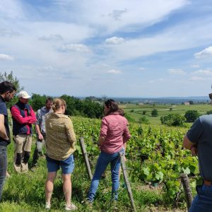 Réunions de groupes BIO Bourgogne-Franche-Comté