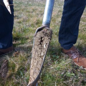 Accompagnements collectifs - BIO Bourgogne Franche-Comté